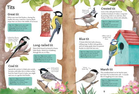 9781805072997 Usborne Spotter's Guides: Birds [1]