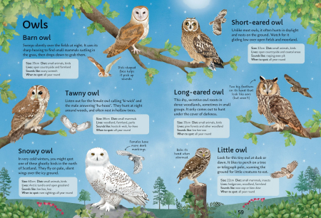 9781805072997 Usborne Spotter's Guides: Birds [5]