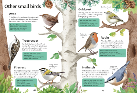 9781805072997 Usborne Spotter's Guides: Birds [2]