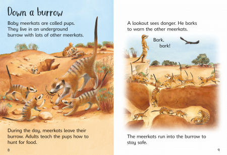 9781474979351 Usborne Beginners Baby Animals [3]