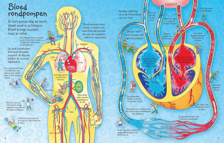 9780746070055 Usborne See Inside your Body [1]