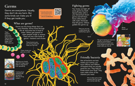 9781409520092 Usborne First Encyclopedia of the Human Body [4]