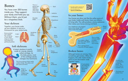 9781409520092 Usborne First Encyclopedia of the Human Body [1]