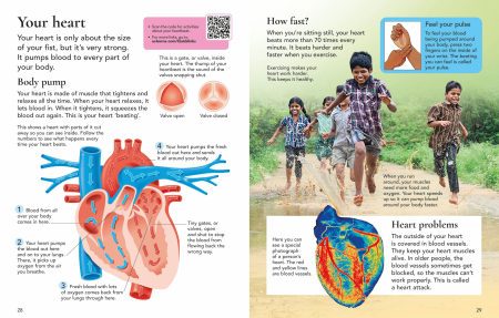 9781409520092 Usborne First Encyclopedia of the Human Body [2]