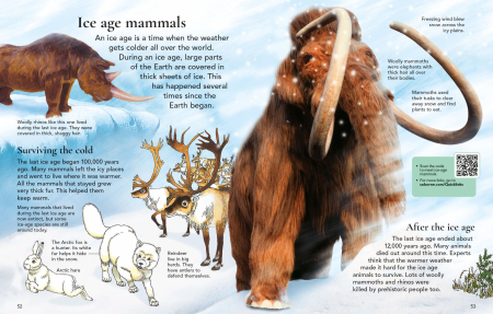 9781836044871 Usborne First Encyclopedia of Dinosaurs [3]