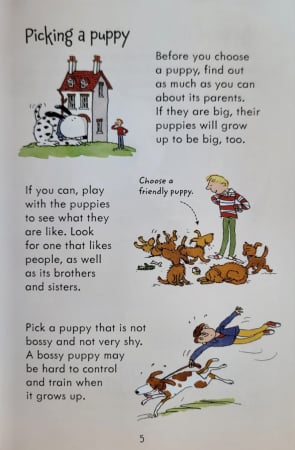 9781409532408 Usborne Looking after Dogs and Puppies [2]