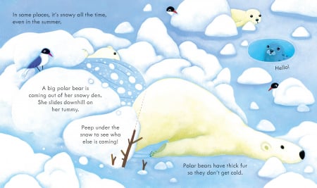 9781474983808 Peep Inside Snowy Places [3]