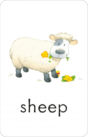 Carduri "Poppy and Sam's First Words Flashcards", Usborne [7]