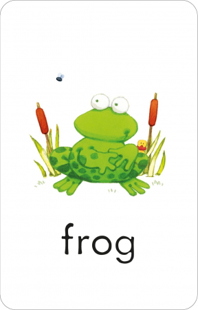 Carduri "Poppy and Sam's First Words Flashcards", Usborne [3]
