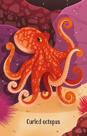 9781474991537 Usborne Aquarium Snap [1]