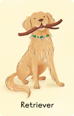 9781836040910 Usborne Dogs Snap [3]