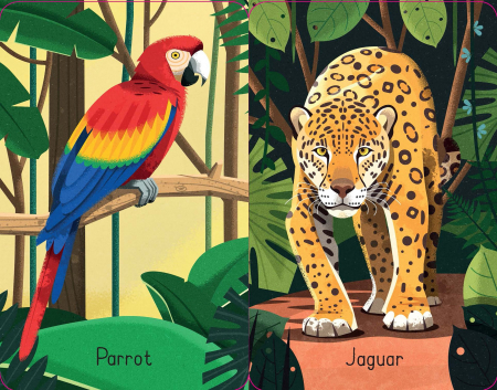 9781474956802 Usborne Jungle Snap [1]