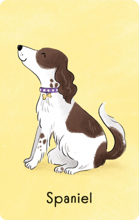 9781836040910 Usborne Dogs Snap [2]
