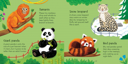 9781805312284 Zoo Matching Games [6]