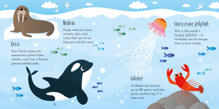 9781836040286 Usborne Under The Sea Matching Games [4]