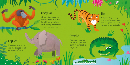 9781474999885 Animals Matching Games [6]