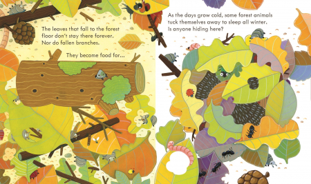 Carte cu clapete "Peep inside the Forest", Usborne [2]