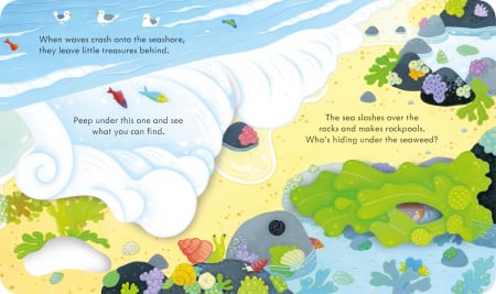 Carte cu clapete "Peep inside the Seashore", Usborne [1]
