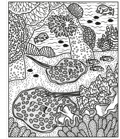 Pachet de activitati La mare, 5 carti (2-5 ani) [12]