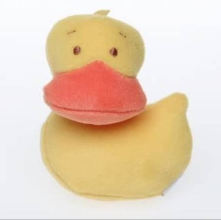 Pachet Poppy si Sam + CADOU ratusca galbena "Ziua Cartii", Usborne [1]