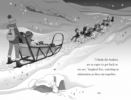 9781474974813 Usborne Snow Puppy [7]