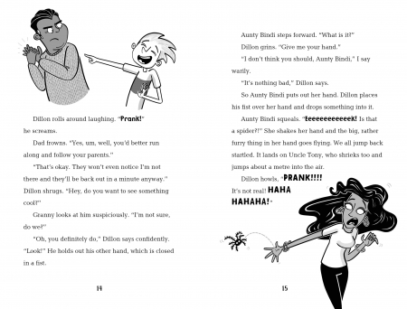 9781801310901 Usborne Anisha, Accidental Detective: Holiday Adventure [6]