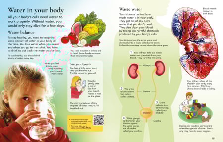 9781835403587 The Usborne Children's Encyclopedia [3]