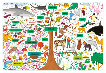 9781835401514 Usborne Usborne Book and Jigsaw: Tree of Life [1]