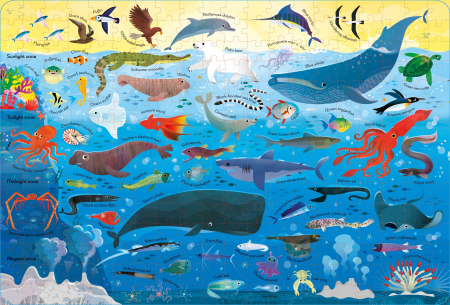 9781805077954 Usborne Book and Jigsaw Oceans [1]