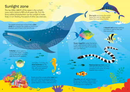 9781805077954 Usborne Book and Jigsaw Oceans [3]