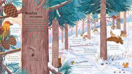 9781474968881 Usborne Look inside the woods [1]