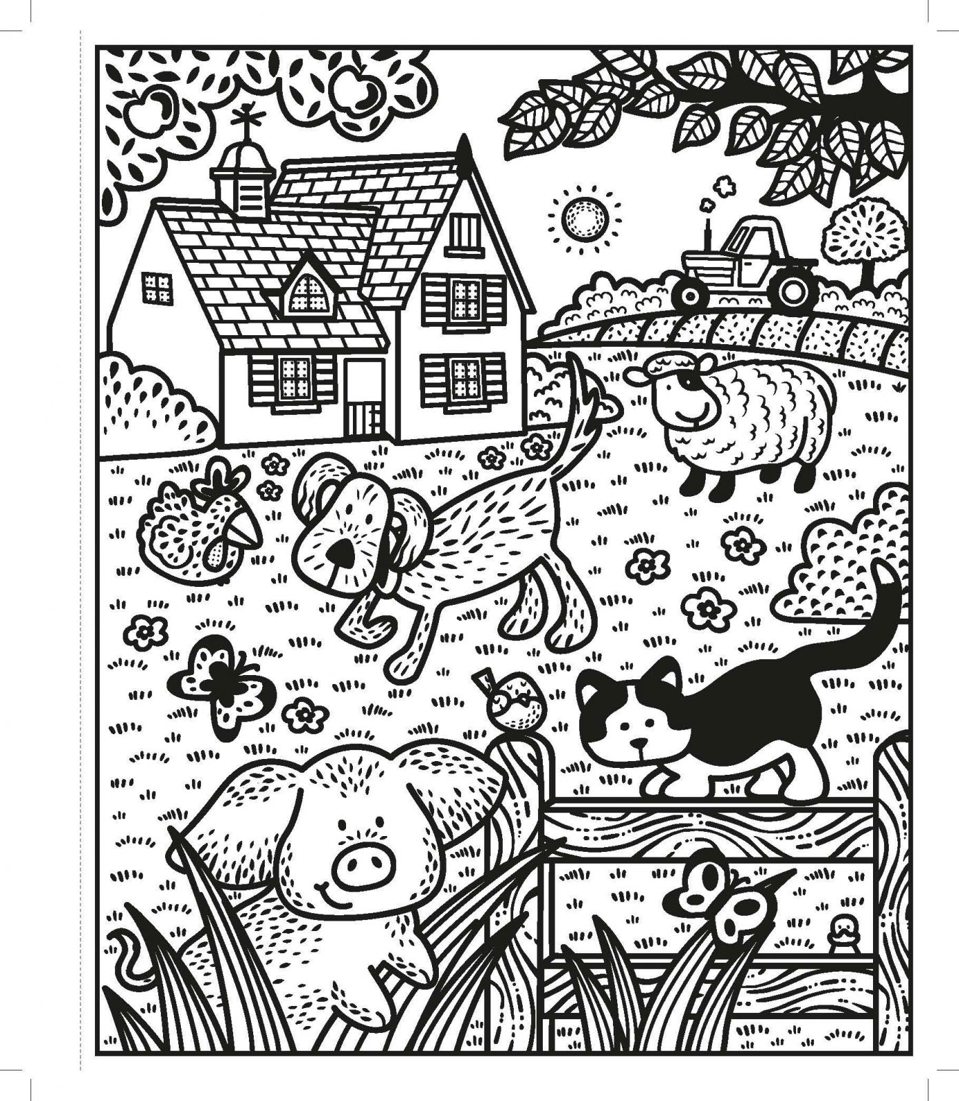 Carte de pictat cu apa animalele de la lui Poppy si Sam, "Magic painting book Poppy Sam's Farm animals", Usborne