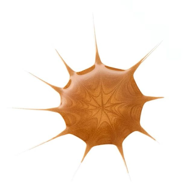 Picături bronzante DROP OF sunshine Essence 25 ml [2]