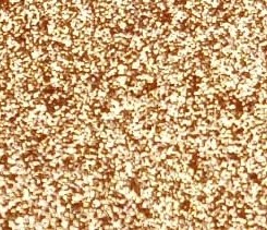 LOOSE HIGHLIGHTER Face&Body Ingrid [1]