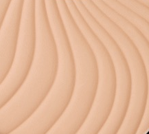 Pudră Compactă Wet&Dry Flormar [1]