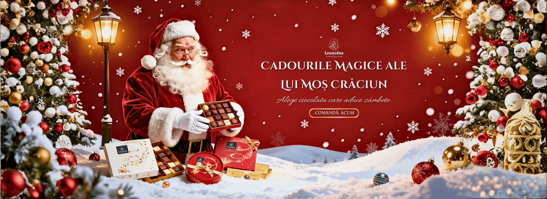 Banner - Crăciun 2025