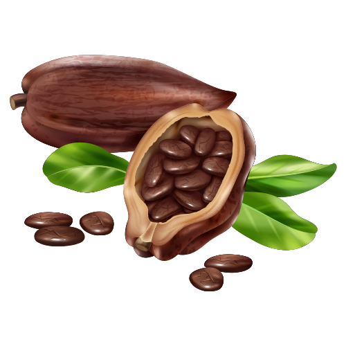 100% unt de cacao