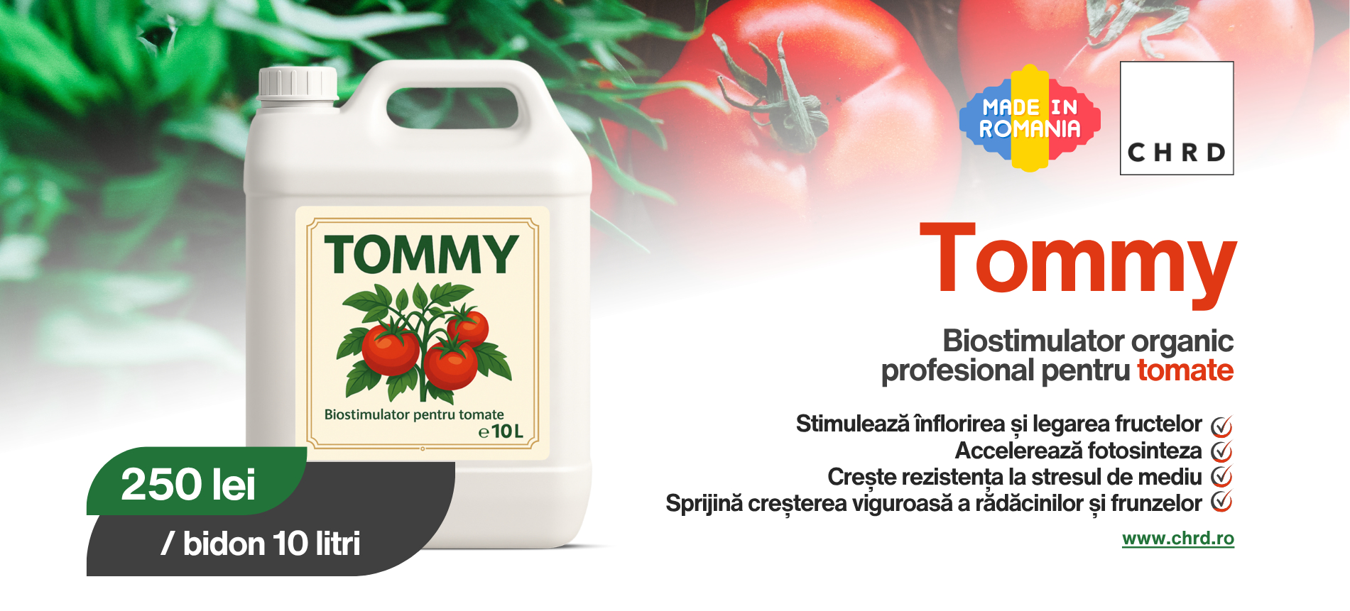 banner tommy