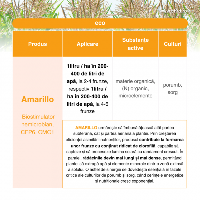 AMARILLO, Biostimulator nemicrobian cu microelemente și acizi humici pentru porumb și sorg, IBC 1000 litri [3]