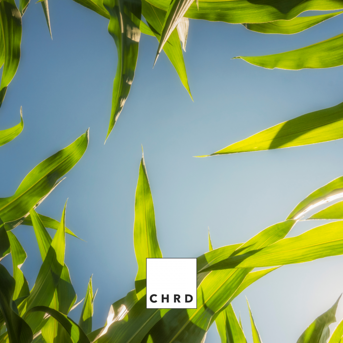 AMARILLO – FERTILIZANT EU DE TIP PFC 1, CMC 1 CF. REG. (CE) 1009/2019 Foliar pentru porumb, sorg, 200g [4]