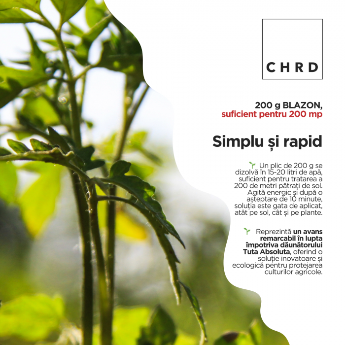 Blazon, curăță solul și plantele de Tuta Absoluta (ouă, larve, adulti), EU Fertilizer PFC1, CMC1, plic 200g [3]