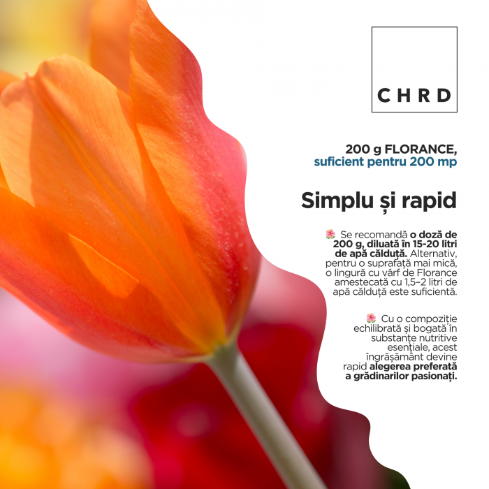 Florance, stimulator ecologic al inflorescențelor pentru flori de grădină, EU Fertilizer PFC1, CMC1, plic 200g [3]