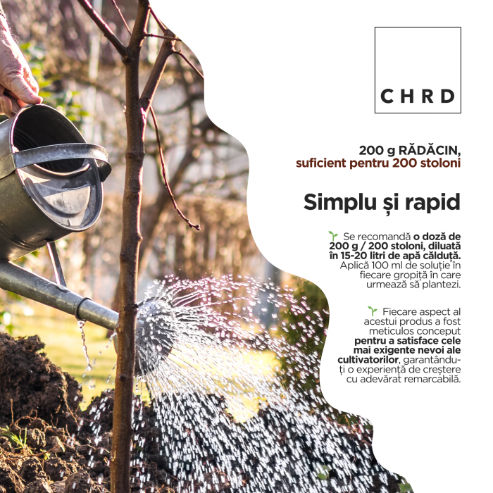 Rădăcin, agent de înrădăcinare a stolonilor, butașilor și pomilor, EU Fertilizer PFC1, CMC1, plic 200g [3]