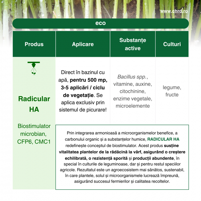 RADICULAR HA, Biostimulator microbian pentru picurare la rădăcină cu acizi humici, fulvici și carbon organic, 10 litri [3]