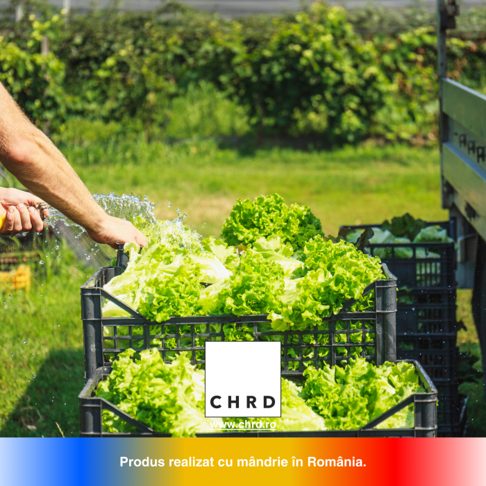 SALADDA, Biostimulator nemicrobian pentru salată, ceapă și varză, IBC 1000 litri [4]