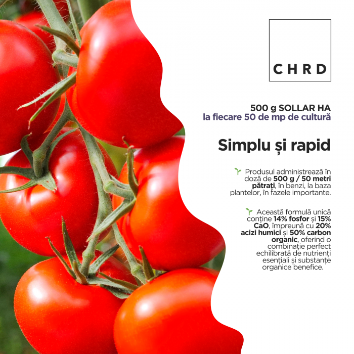 Sollar HA - Nutriție și biostimulare pentru legumele din solarii și grădini, 500g [3]