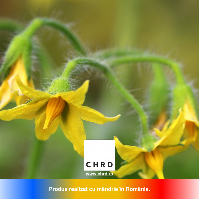 STIMULATOR DE ÎNFLORIRE ȘI LEGARE – gata de folosire - Biostimulator nemicrobian pentru toate tipurile de legume, 10 litri [5]