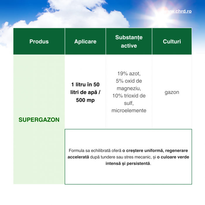 SUPERGAZON, Fertilizant lichid profesional pentru gazon, 10 litri [2]