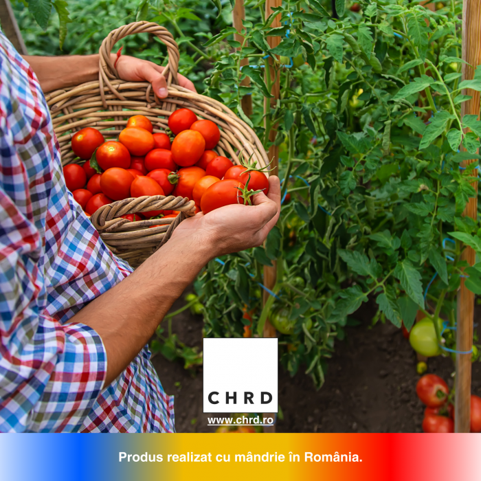 TOMMY, Biostimulator nemicrobian pentru tomate, IBC 1000 litri [4]
