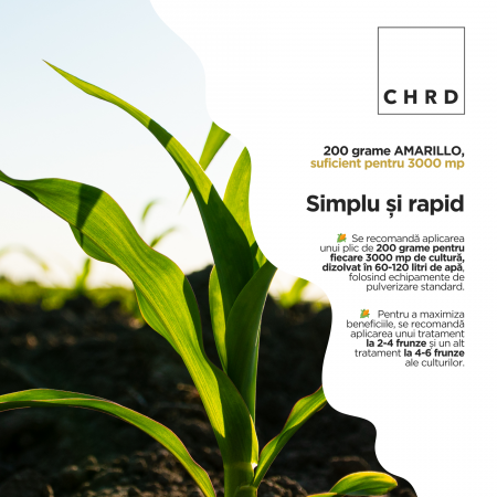 AMARILLO – FERTILIZANT EU DE TIP PFC 1, CMC 1 CF. REG. (CE) 1009/2019 Foliar pentru porumb, sorg, 200g [2]